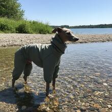 PINCOOL 可调节高领拉链雨衣，防水防紫外线，适用于惠比特犬、意大利灵缇犬