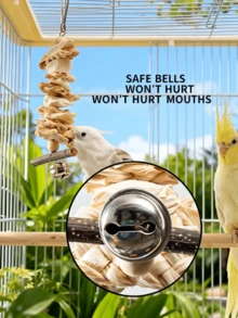 Parrot Toys Cuttlebone For Chewing, Complete Bird Cage Accessories, Suitable For Cockatiel, Lovebird, Macaw, Parrot Beak Grinding, Calcium Supplement - Multicolor - View 4