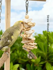 Parrot Toys Cuttlebone For Chewing, Complete Bird Cage Accessories, Suitable For Cockatiel, Lovebird, Macaw, Parrot Beak Grinding, Calcium Supplement - Multicolor - View 3