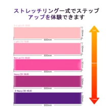 フィットネス チューブ レディース向け | 引き締め シェイプアップ アームズ レッグ トレーニング ハンドル付き 収納ケース付き  E-03 - ブルー - チェックする 2