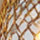 Multicolor