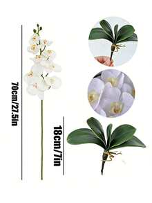 5支仿真蝴蝶兰，花头硕大逼真，花茎纤细，经典风格仿真兰花花束，装饰性丝绸蝴蝶兰，仿真花枝，适用于家居装饰、客厅装饰、酒店婚礼花艺布置、母亲节、春夏装饰、白色婚礼花束装饰、复活节装饰礼物、生日礼物、毕业典礼等场合。 - 彩色 - 查看 3