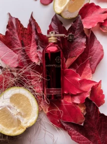Montale Red Vetiver EDP 100ml – Una fragranza unisex, legnosa e fresca con note di vetiver, agrumi e spezie che donano luminosità, raffinatezza e lunga durata; perfetta per chi cerca un profumo moderno, elegante e versatile da indossare tutti i giorni o per le occasioni speciali con una scia accattivante. ✅ Consegna in 24/72 ore nella Spagna continentale | Beauty Explosion | Il tuo negozio di bellezza e trucco: libera il meglio di te - Legnoso, fresco, speziato - Visualizzare 4
