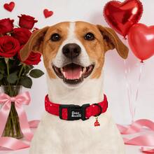 Dog Collars Valentine's Red Heart Print Pet Collar Soft Adjustable Plastic Pendant Dog Collar For Dogs - Red - View 7