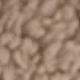 بني فاتح