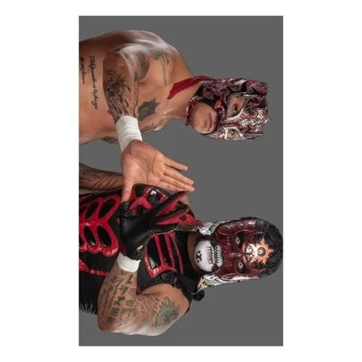 Toalla de Baño Lucha Brothers, Rey Fenix y Penta Zero Miedo  - Lucha Libre