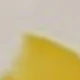 Yellow & White