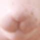 彩色