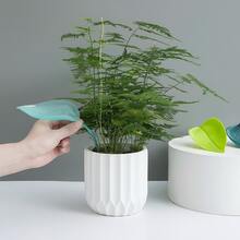 多尺寸北欧风简约竖条纹花盆，户外花园植物盆，水培和土培花卉绿植盆，多肉植物花瓶容器，时尚桌面装饰花盆，塑料花盆 - 白色 - 查看 3