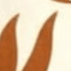 đất nung