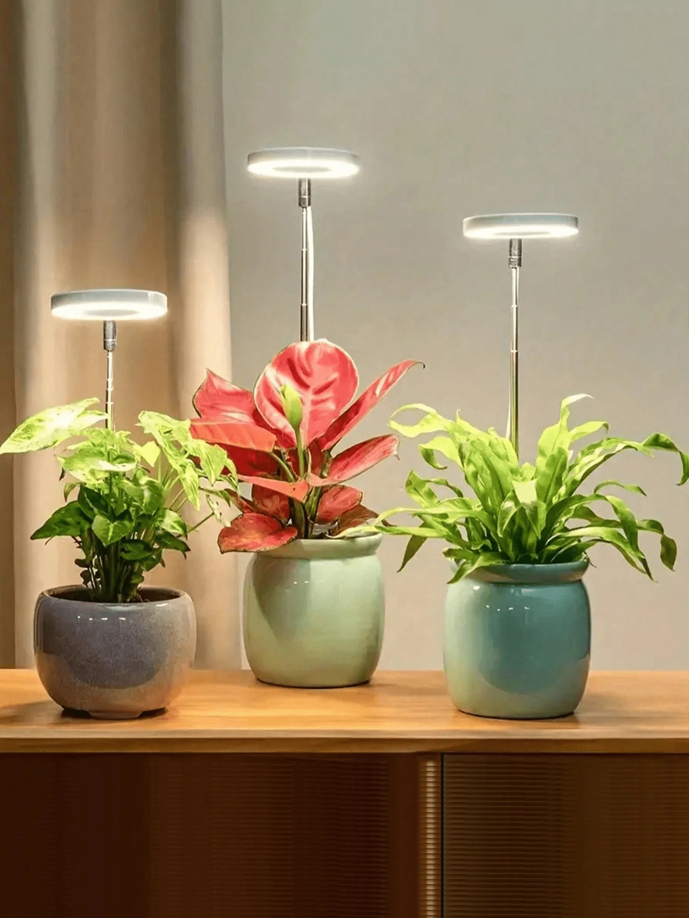 1pc LED Full Spectrum Plant Grow Light, 3 Brightness Levels Adjustable, With Timer Function And Height Adjustable, USB Powered, Helps Cultivate Healthy Indoor Plants