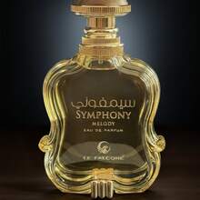Le Falcone - Symphony Melody 100ml Eau De Parfum For Men - Woody & Earthy - View 4