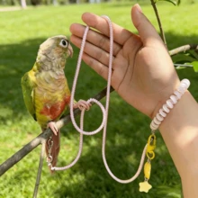 1 Set Lightweight Stretchy Bird Leash For Outdoor, Parrot Flying Tether With Wristband, Leg Strap And Star Cloud Pendant, Gradual Extendable Walking Rope, Suitable For Cockatiel, Parrots, All Seasons - Multicolor - View 3
