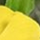 Màu vàng