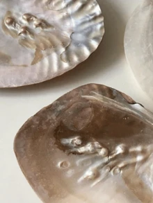 1个复古天然贝壳托盘，贝壳首饰展示架，收纳盘，工艺工具，适用于家居客厅办公室装饰，家居装饰品，是情人节、复活节、母亲节、生日的理想礼物，也可用作厨房配件、厨房装饰托盘、水果托盘、毕业礼物、首饰收纳托盘、化妆间装饰、房间装饰。 - 彩色 - 查看 4