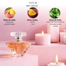 Set de Fragancias Florales Frutales para Mujer - 4 Frascos * 25 ml: Pomelo, Limón, Rosa y Cedro. Elegantes, encantadoras y sofisticadas, estas cuatro fragancias son perfectas para cualquier ocasión, con un aroma cautivador. Son ideales para citas, fiestas, uso diario, compras y muchos otros eventos - Múltiples aromas - Ver 2