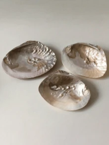 1个复古天然贝壳托盘，贝壳首饰展示架，收纳盘，工艺工具，适用于家居客厅办公室装饰，家居装饰品，是情人节、复活节、母亲节、生日的理想礼物，也可用作厨房配件、厨房装饰托盘、水果托盘、毕业礼物、首饰收纳托盘、化妆间装饰、房间装饰。 - 彩色 - 查看 5