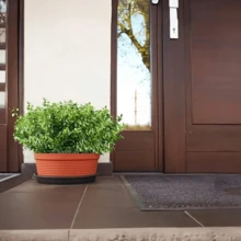 12 件装抗紫外线人造桉树灌木套装 | 室内外装饰 | 适用于父亲节、母亲节、情人节、六月节、毕业典礼、乔迁之喜、婚礼和花园装饰 - 綠色 - 查看 3