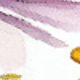 彩色