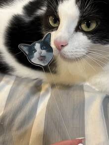 1/10/20 que khuấy đồ uống bằng acrylic cá nhân hóa - Que khuấy cocktail tùy chỉnh, lý tưởng cho trang trí đồ uống tiệc cưới & tiệc độc thân, Ngày Valentine, kỷ niệm, quà tặng tân gia cho quầy bar tại nhà, nhà bếp & phòng ăn - Nhiều màu - Xem 8