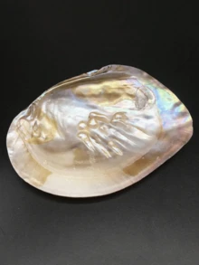 1个复古天然贝壳托盘，贝壳首饰展示架，收纳盘，工艺工具，适用于家居客厅办公室装饰，家居装饰品，是情人节、复活节、母亲节、生日的理想礼物，也可用作厨房配件、厨房装饰托盘、水果托盘、毕业礼物、首饰收纳托盘、化妆间装饰、房间装饰。 - 彩色 - 查看 9