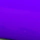 Violet Purple