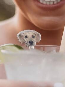 1/10/20 que khuấy đồ uống bằng acrylic cá nhân hóa - Que khuấy cocktail tùy chỉnh, lý tưởng cho trang trí đồ uống tiệc cưới & tiệc độc thân, Ngày Valentine, kỷ niệm, quà tặng tân gia cho quầy bar tại nhà, nhà bếp & phòng ăn - Nhiều màu - Xem 6