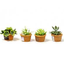4 PIEZAS Plantas en miniatura artificiales de estilo bonsái Cayway para decoración de casa de muñecas, macetas pequeñas con suculentas falsas para jardín y decoración de casa de muñecas - Multicolor - Ver 10