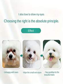 200pcs/Box Pet Eye Cleaning Wet Wipes - Made Of Polyester Material, Suitable For Cleaning Cat And Dog Eyes, Removing Tear Stains, Applicable To All Breeds, Easy To Use, A Perfect Gift For Pets. - Multicolor - View 8