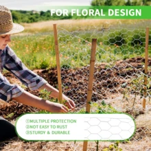 1片镀锌鸡笼网（用于花卉布置），六角形网状围栏，镀锌花艺网，适用于工艺花环、园艺和家禽养殖。多种尺寸可选：0.35x4米/0.35x8米/0.42x5米/0.42x10米