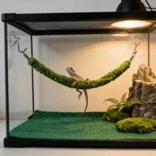 1件逼真藤蔓爬行蜘蛛蜥蜴攀爬绳，带吸盘，蜥蜴攀爬玩具，爬行动物饲养箱装饰秋千，适用于爬行动物和两栖动物