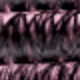 màu đen