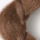 彩色