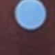 棕色