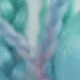彩色