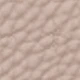 Apricot Pink
