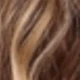 Brown Highlight