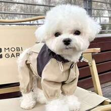 1pc Stylish Pet Windproof Rainproof Outdoor Dog Walking Jacket, Dog Clothes For Medium Small Dogs Like Teddy, Poodle - Multicolor - View 5