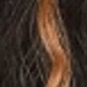 Brown Highlight