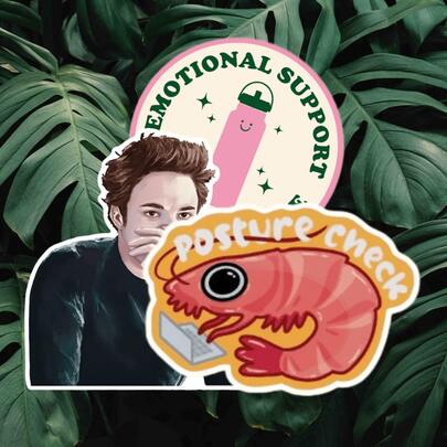 Edward Sticker" "Emo Support" Vinyl Stickers, Suitable For Water Bottles, Laptops, Computers, Phones, Cars, Bicycles, Indoor Decor