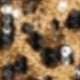 Coffee Brown