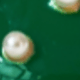 箍