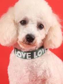 轻便尼龙材质的LOVE字母项圈，适合小型犬四季户外散步。 - 綠色 - 查看 10