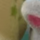彩色