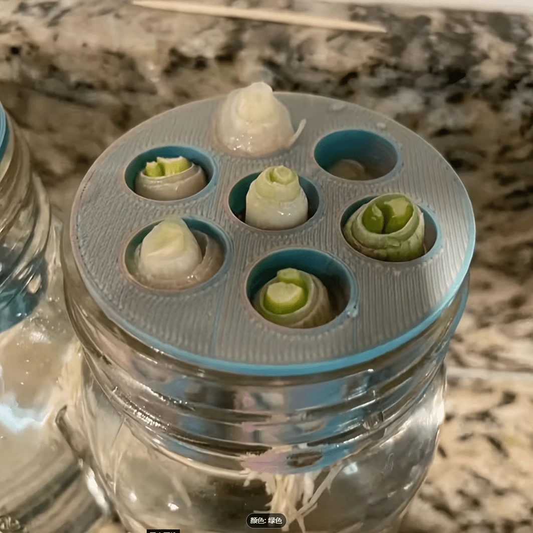 1个3D打印水培植物生长模具，可拆卸可重复使用的塑料种植盒，易于换水，无需用电，塑料材质，使用方便，多种颜色可选，适用于室内/室外，经久耐用且易于清洁，适用于家庭、园艺、办公室或花园。 - 彩色 - 查看 1