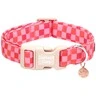 Pet Collars, Leashes & Harnesses