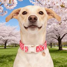 Lionheart Glory Dog Collar, Soft Adjustable Plastic Buckle, Pink Plaid Pattern, Suitable For Dogs, Puppies, Boys & Girls, Spring Holiday Pet Collar - Watermelon Pink - View 7