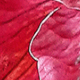 玫紅色