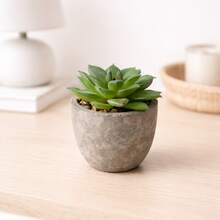 1 pot de plante succulente artificielle, plante succulente décorative factice avec pot gris, convient pour le bureau, les étagères, le bureau, la maison, la salle de bain et autres petits espaces, excellent cadeau pour la Saint-Valentin - Vert - Voir 2