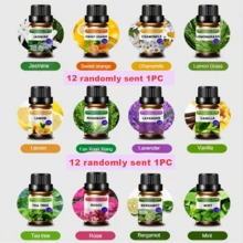 6 件香薰精油套装，植物香味，包括扩散器、蜡烛、香薰石、加湿器、汽车扩散器和家用补充油